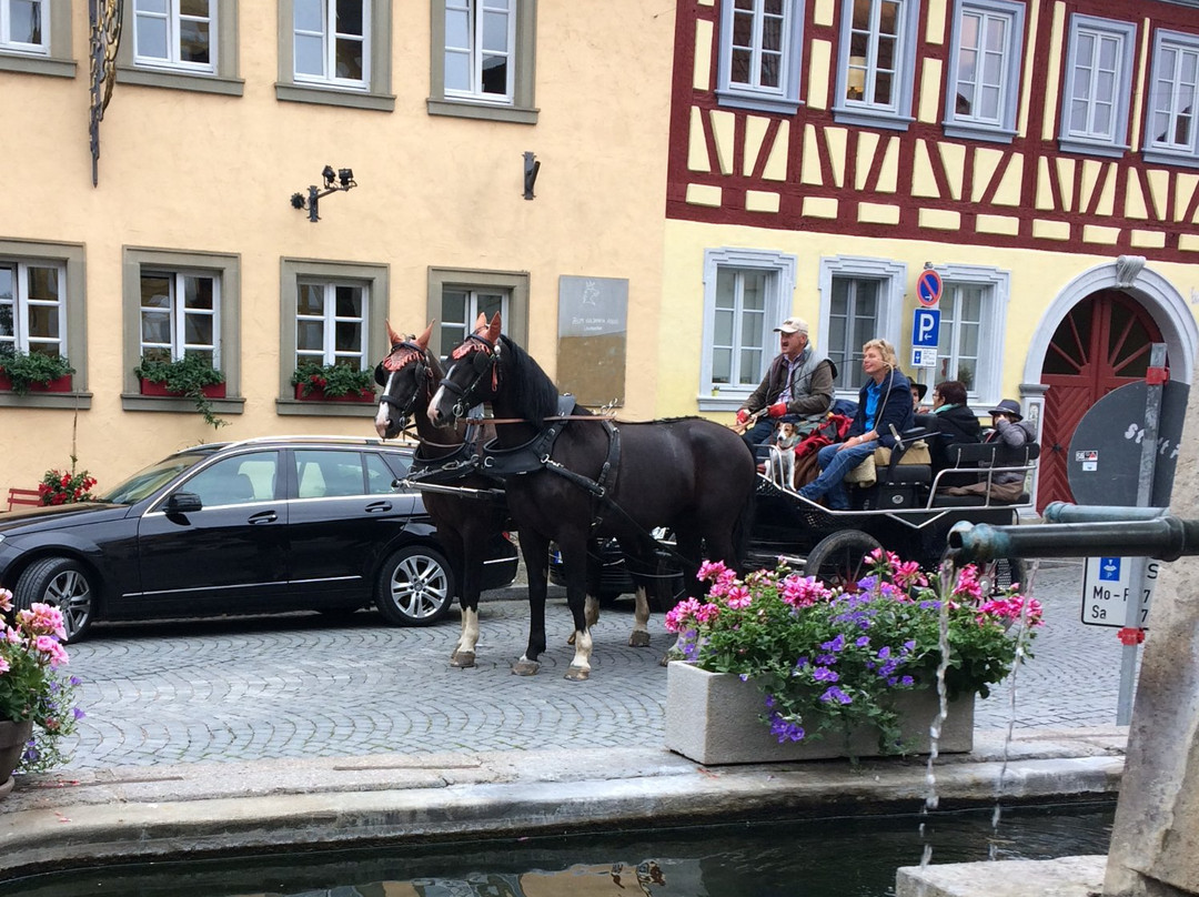 Landhotel Alte Schmiede主图