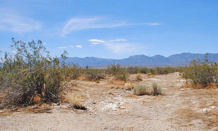 Butte Valley Wildflower Sanctuary-兰开斯特必去景点