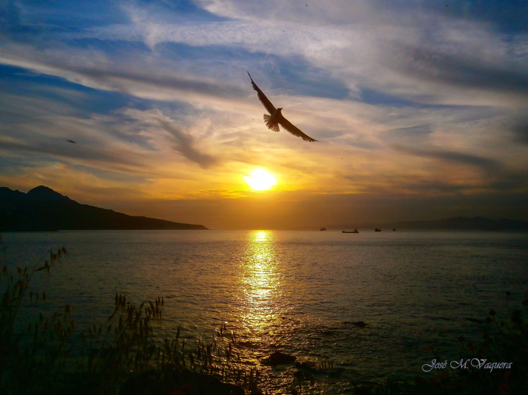 Playa de San Amaro-Ceuta必去景点