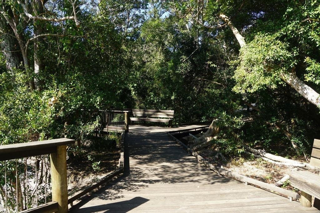 Myora Springs Conservation Area-North Stradbroke Island必去景点