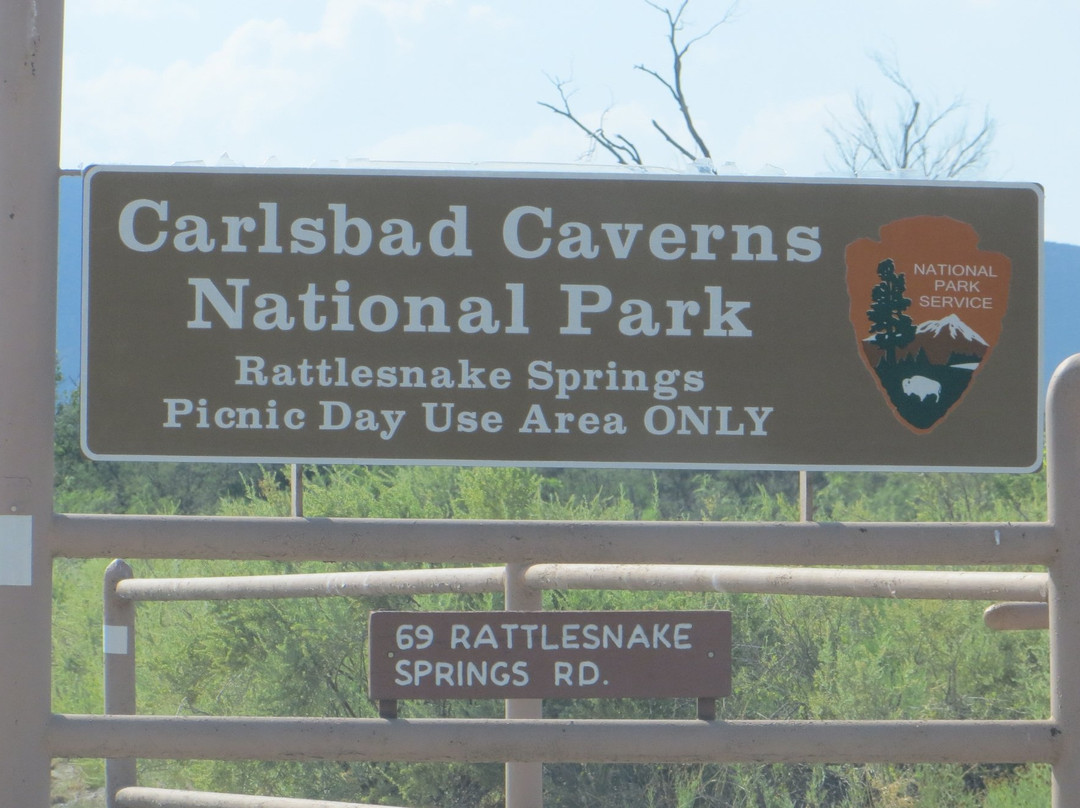 Rattlesnake Springs-卡尔斯巴德洞穴国家公园必去景点