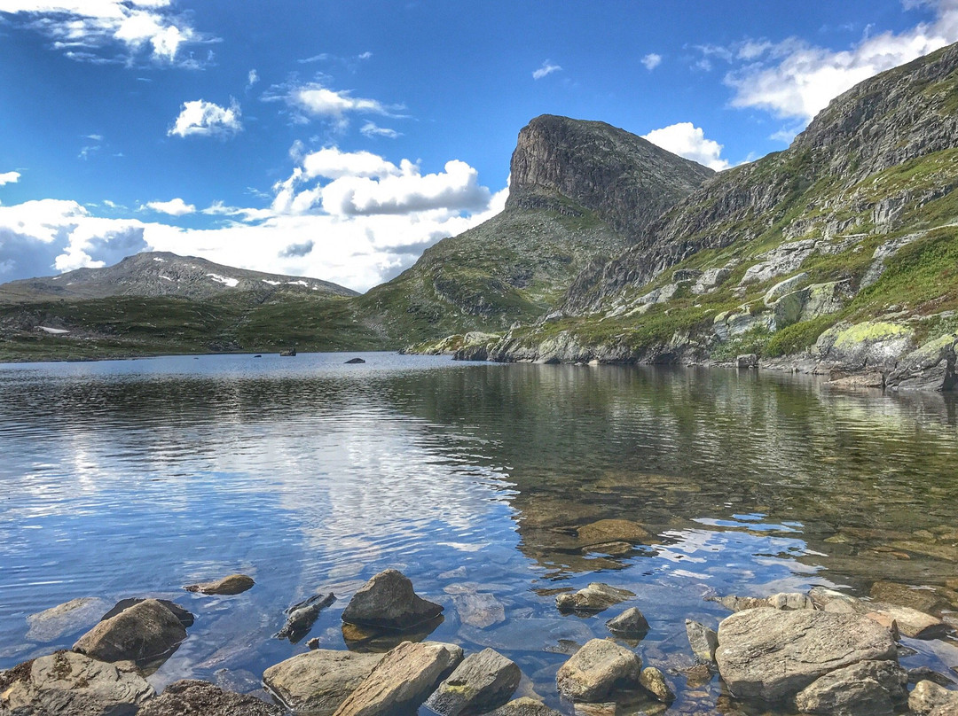 Hike to Veslehodn景点图片