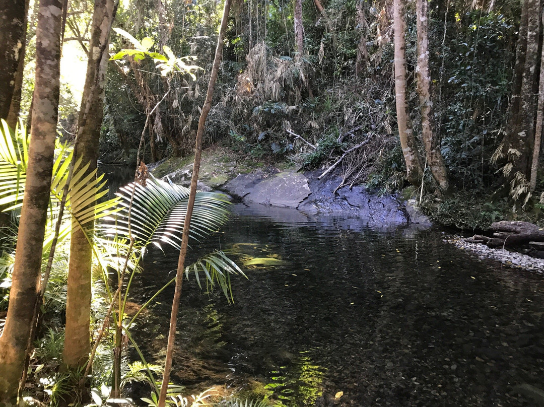 Freeride Electric Adventure Tours-Cape Tribulation必去景点
