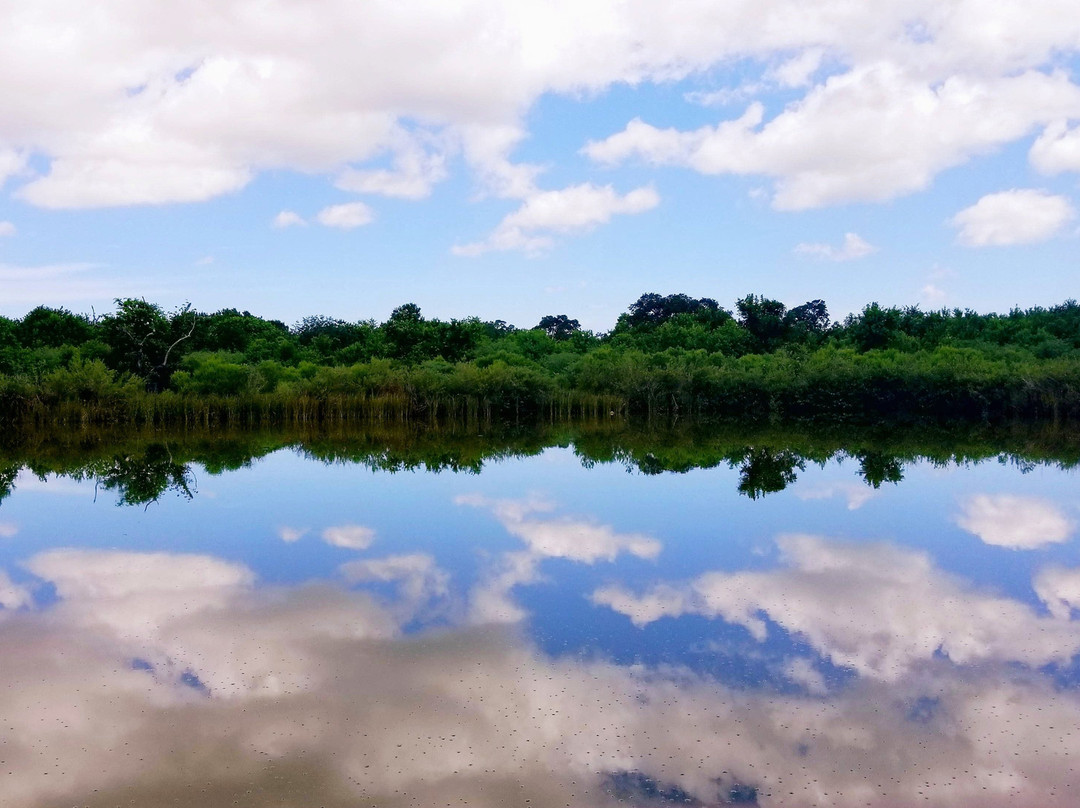 Sea Center Texas-Lake Jackson必去景点