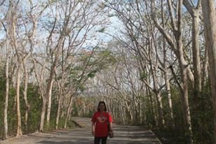 Salagdoong Forest Reserve景点图片