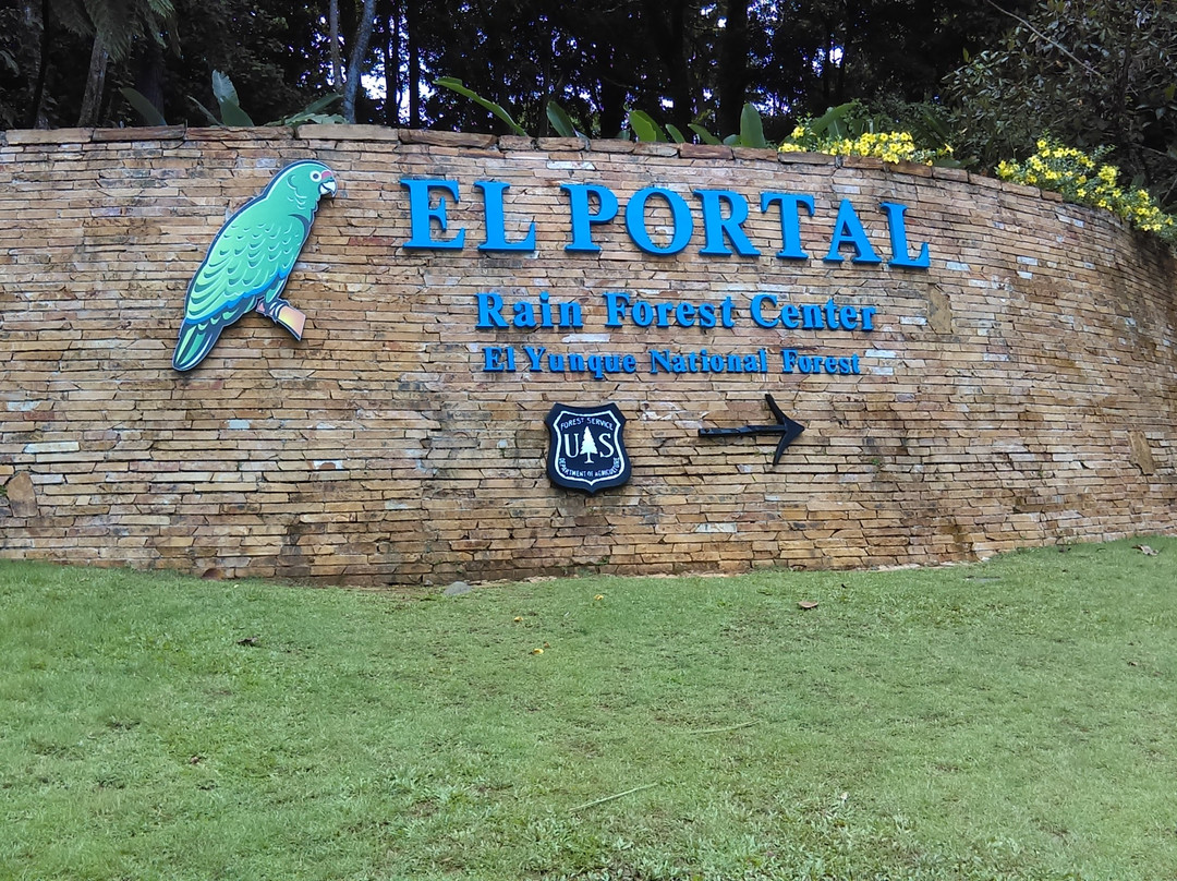 Catarata La Mina-云盖国家森林公园必去景点