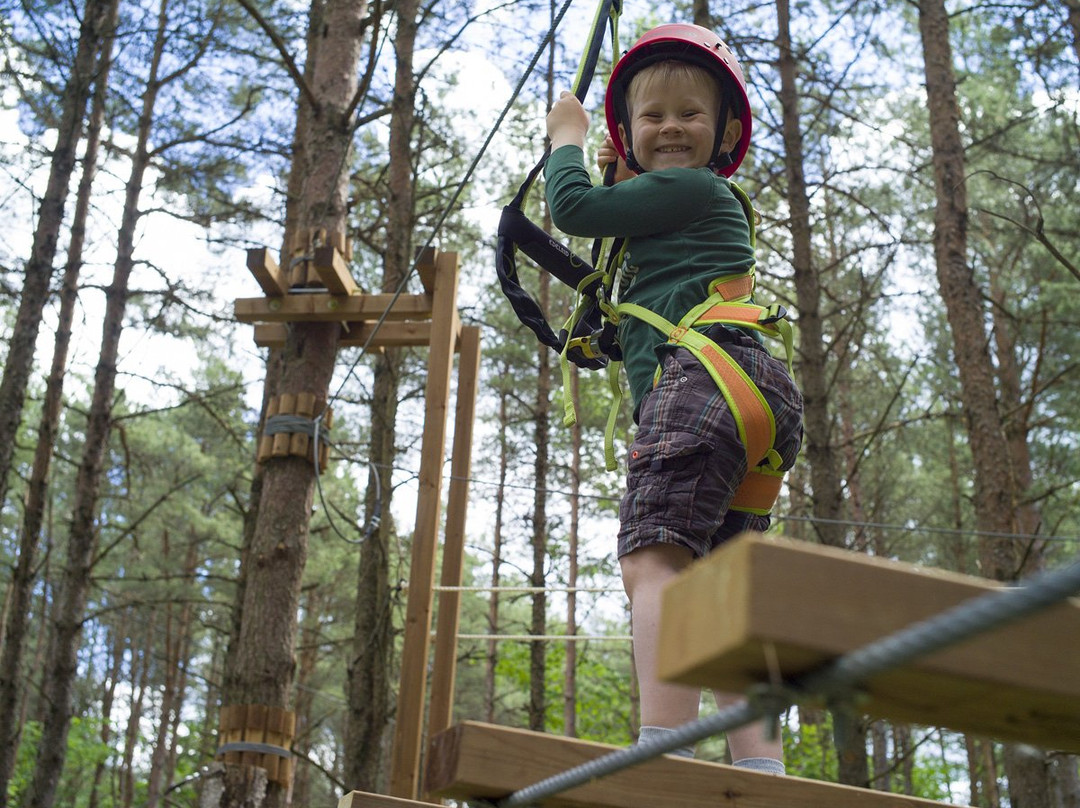 K-Pargi Kuressaare Adventure Park景点图片