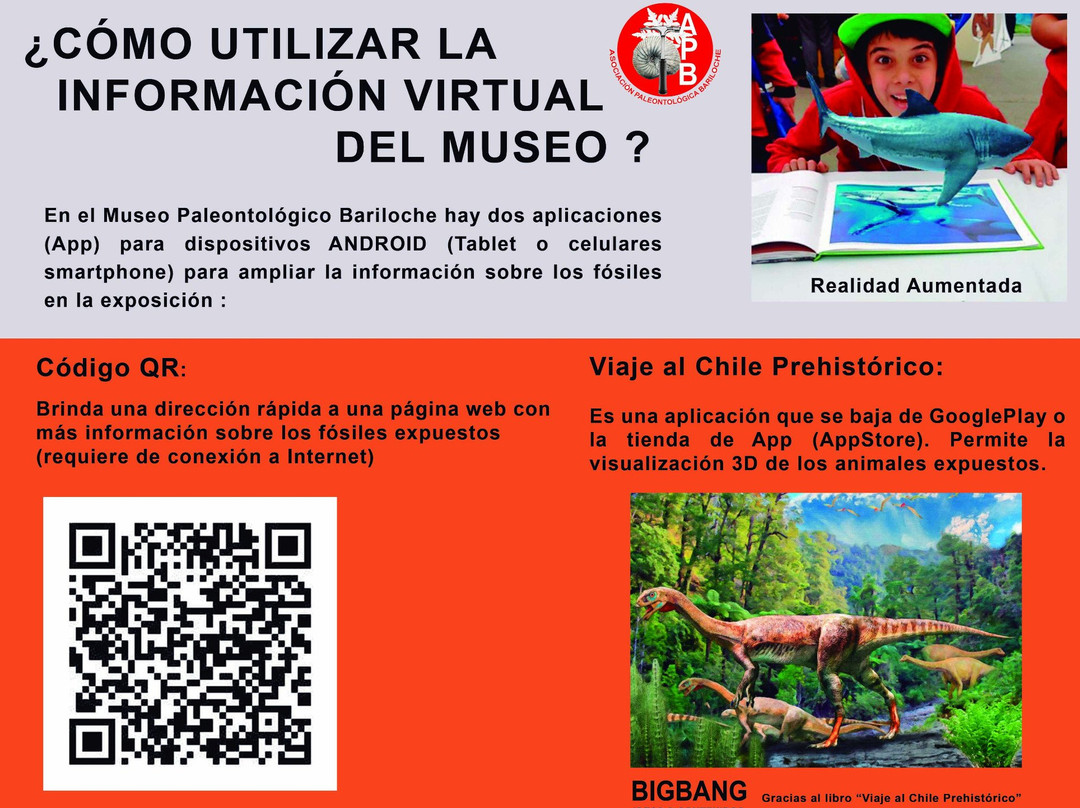 Museo Paleontologico Bariloche-圣卡洛斯-德巴里洛切必去景点