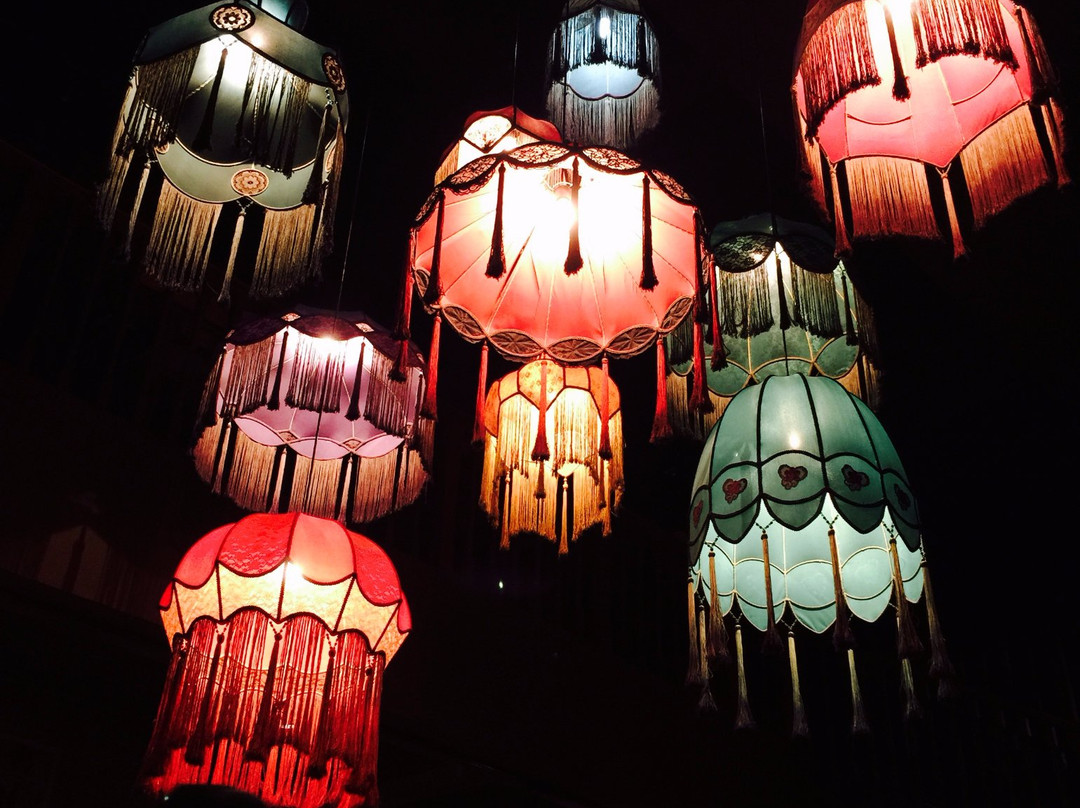 Spaghetti Tree主图