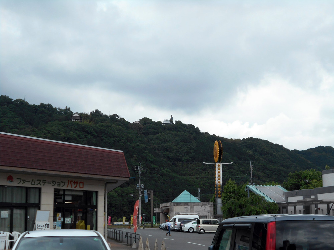 Koyama Shoryudaikannon景点图片