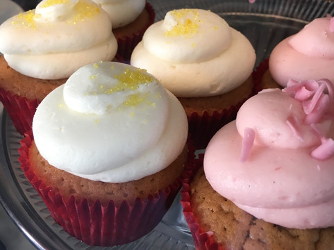 Totally Cali Tours-圣巴巴拉必去景点