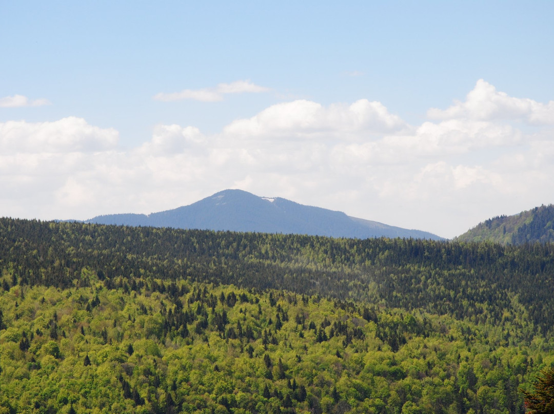 Starunya旅游景点-Horhany Nature Reserve