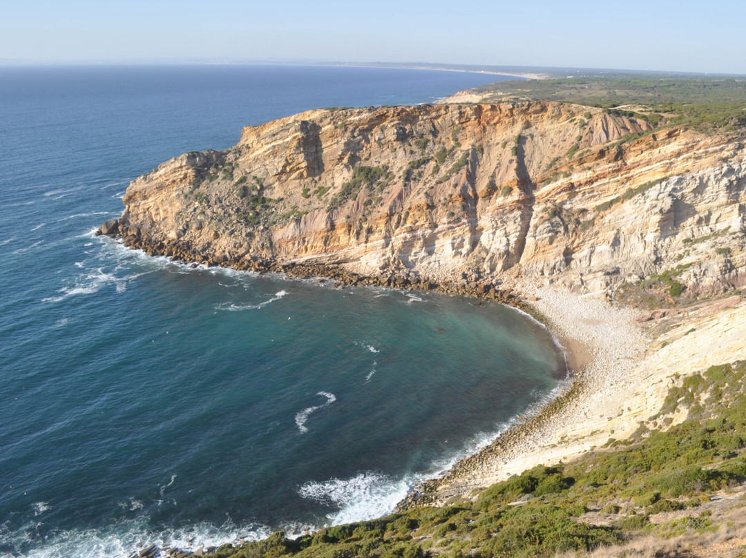 Mandala House