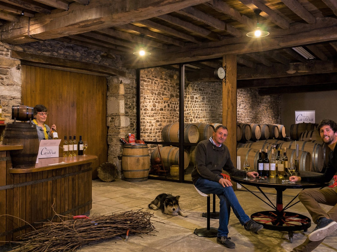 Domaine Castera景点图片