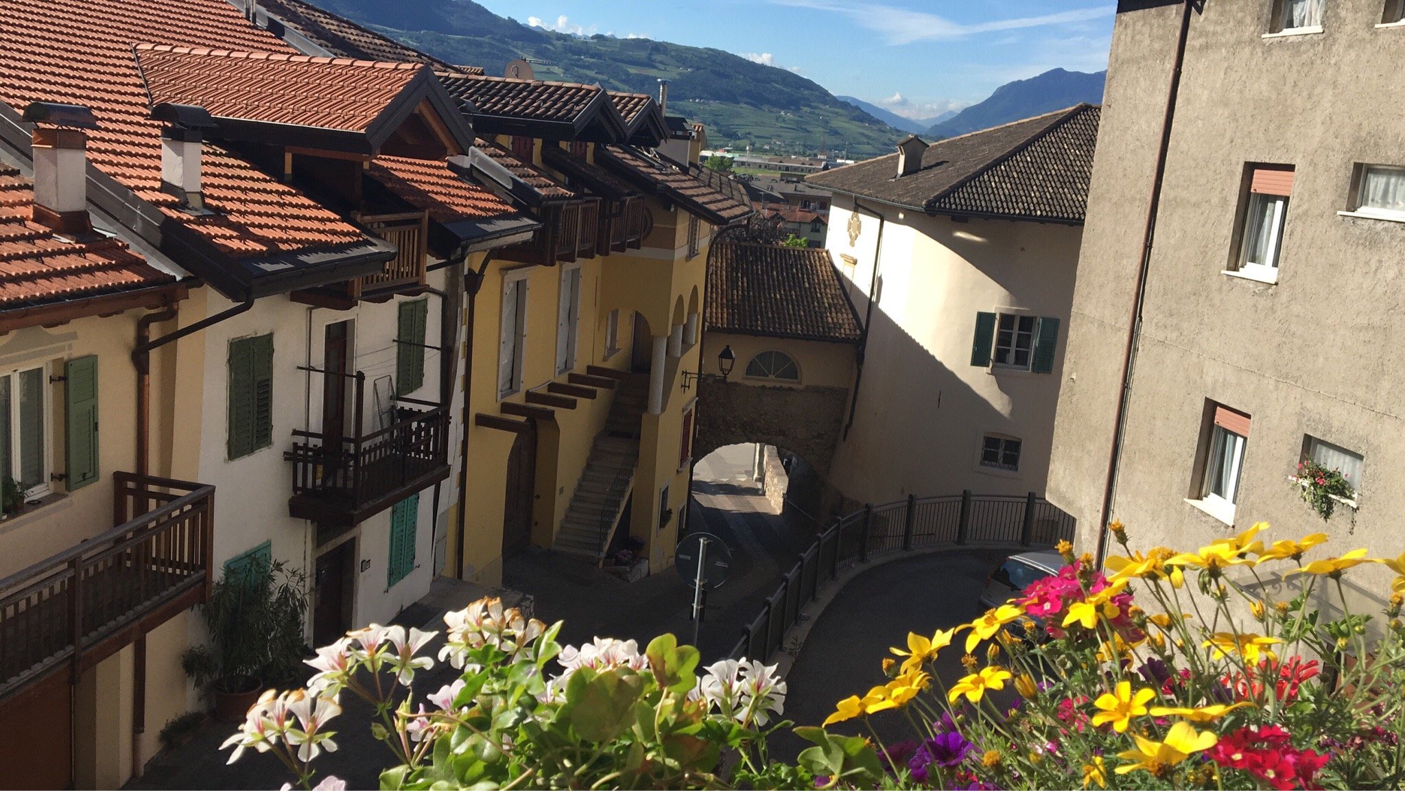 B&B Pedelmont-官方