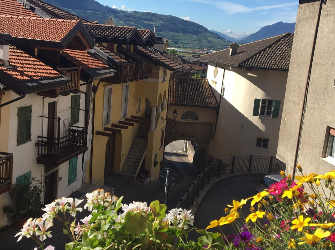 Mezzolombardo酒店住宿-B&B Pedelmont