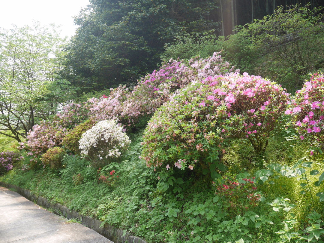 Ryutakuji Temple-湖北町必去景点