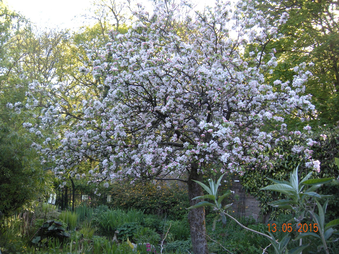 The Ridges Gardens-乔利必去景点