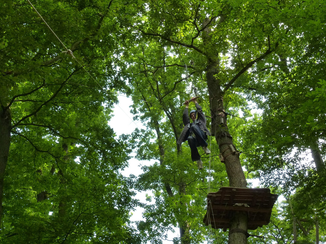 Kletterwald Marburg-马堡必去景点