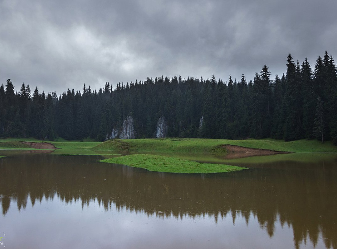 Ponor Meadow景点图片