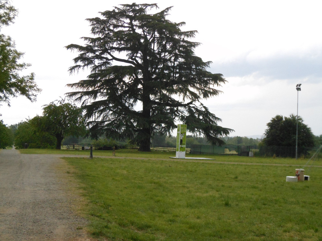 Parco della Reggia Ducale di Rivalta景点图片