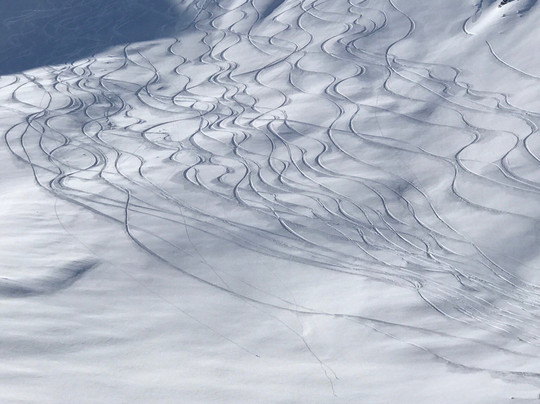 Majestic Heli Ski-Sutton必去景点