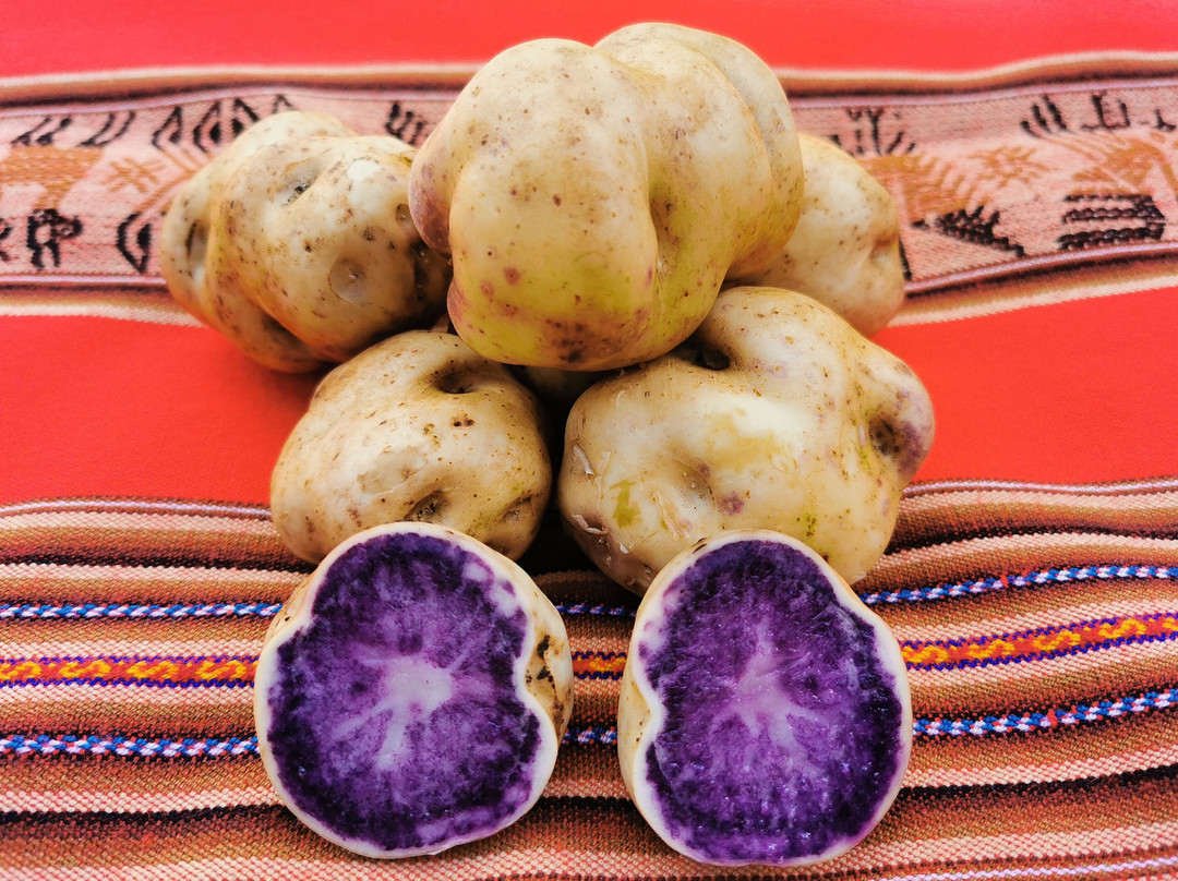 Recreo El Perolito