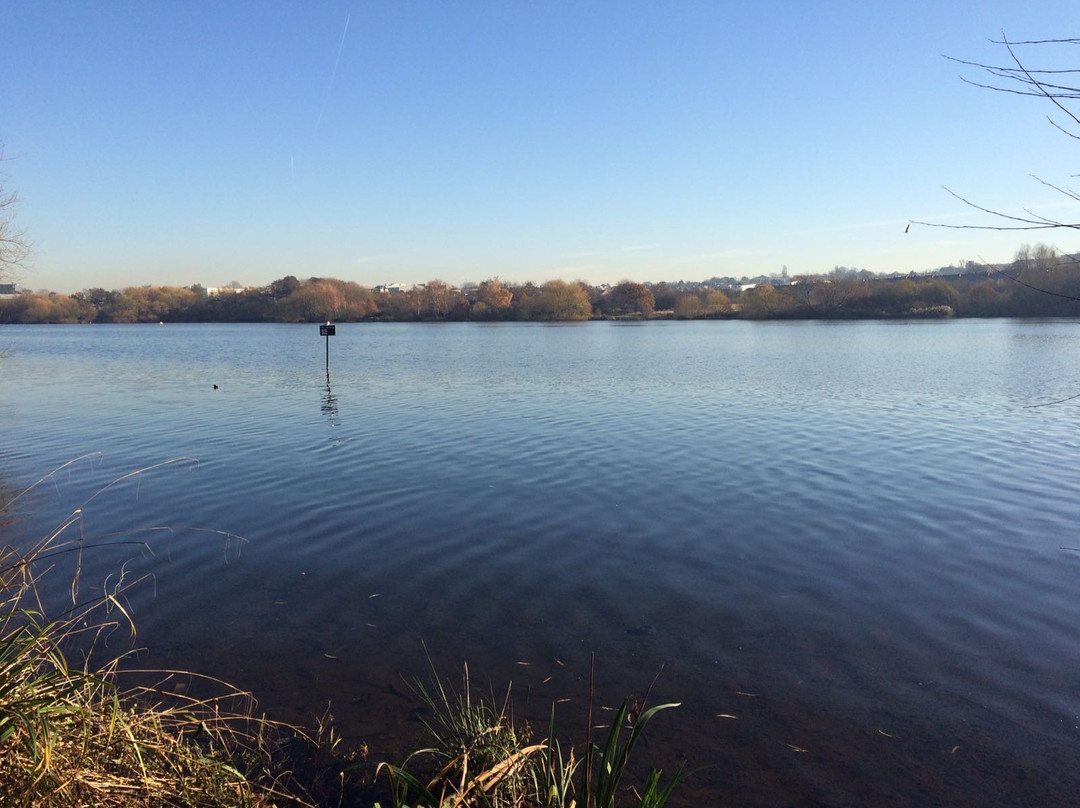 Brent Reservoir (Welsh Harp) Canalside景点图片