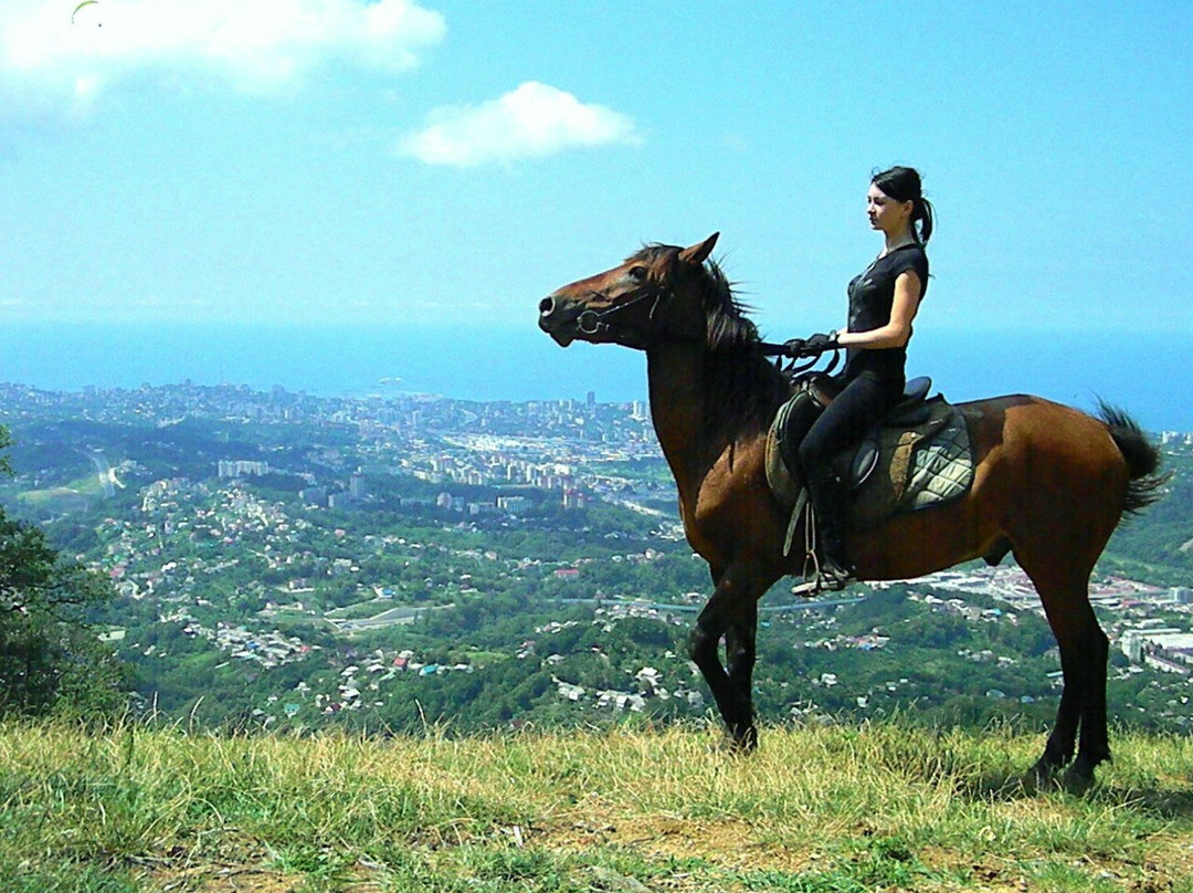 Horse Riding Club Favorit-索契必去景点
