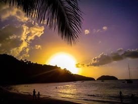 Auberge de L'Anse Mitan主图