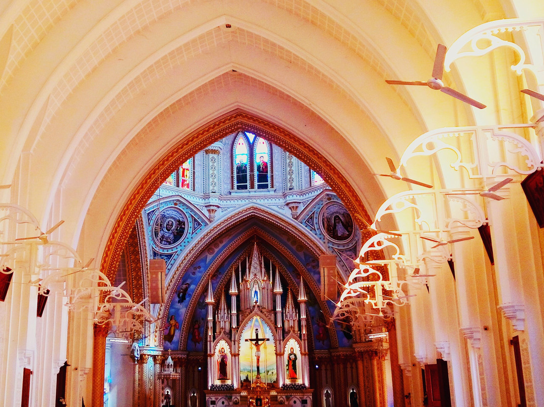Our Lady of Lourdes Metropolitan Cathedral景点图片