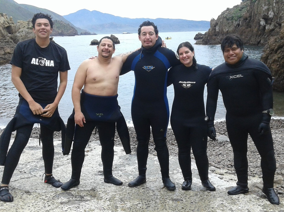Baja Diving Adventures景点图片