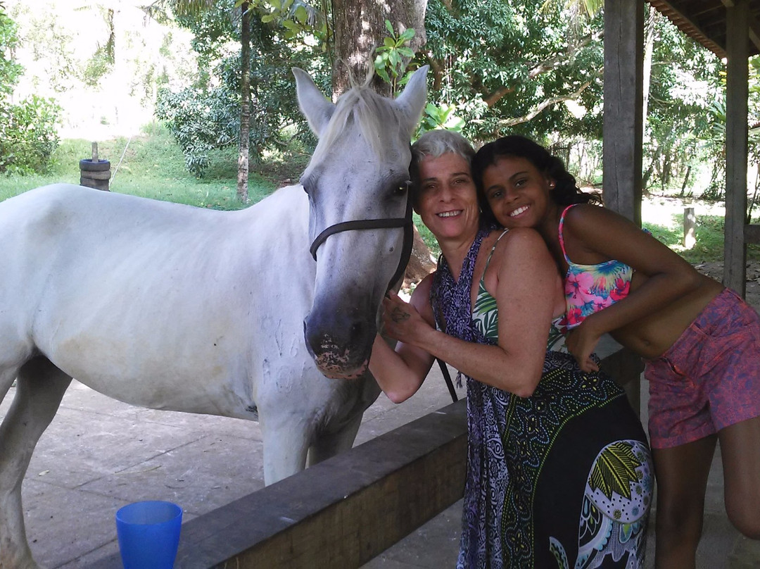 Hotel Eco Sítio Nosso Paraíso主图