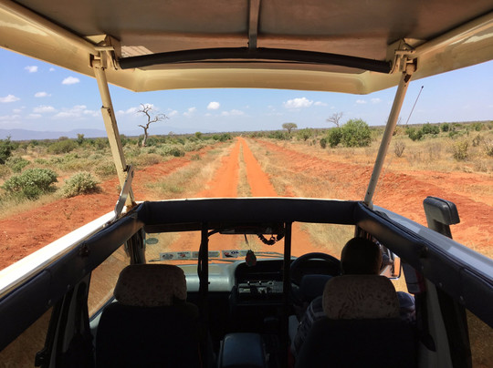 PD Tours and Safaris