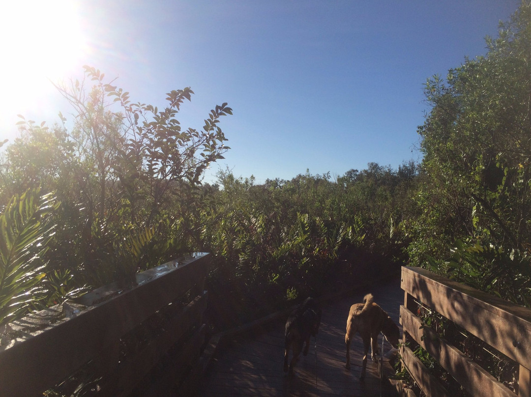 Caloosahatchee Creeks Preserve West景点图片