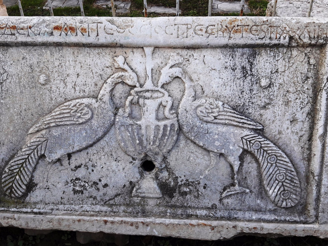 Sakarya Museum-Adapazari必去景点