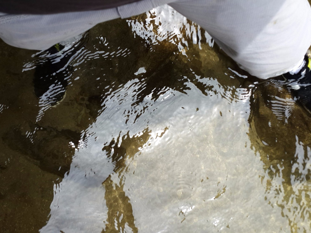 Toboganes de Songos-San Jeronimo de Surco必去景点