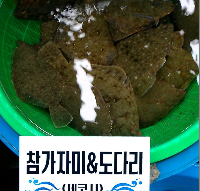 Donghae City Suhyup Seafood Distribution Center-东海市必去景点