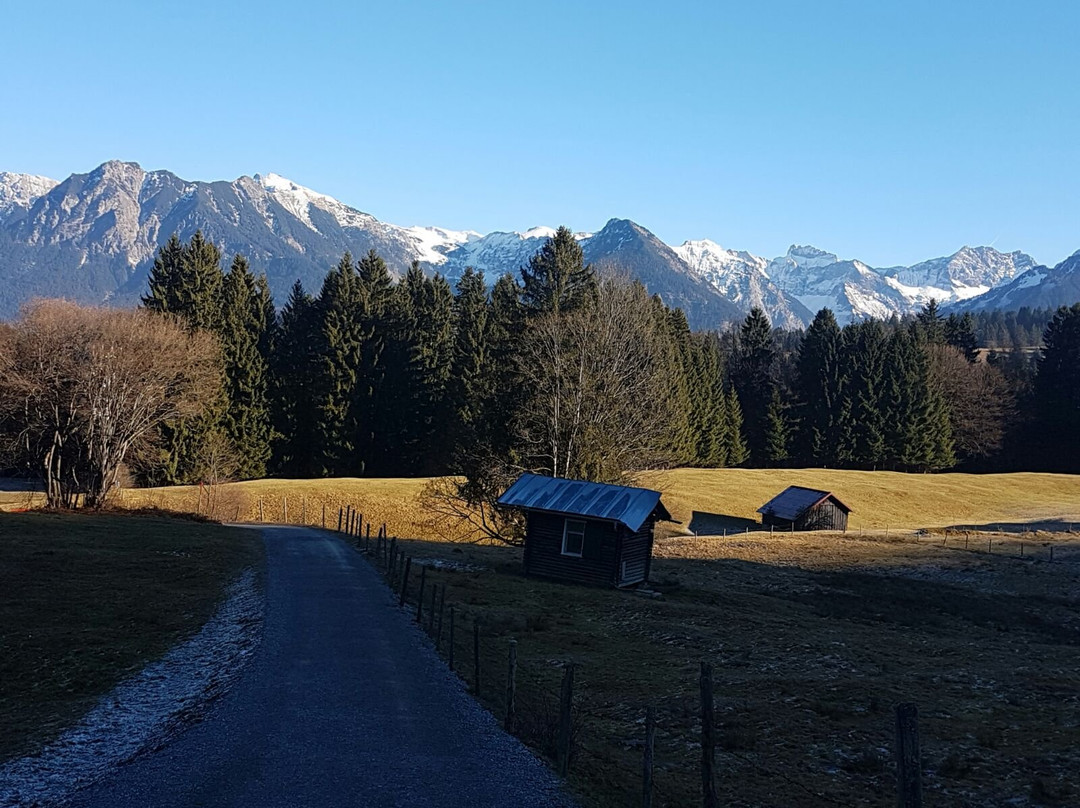 Alpine Wildlife Park景点图片