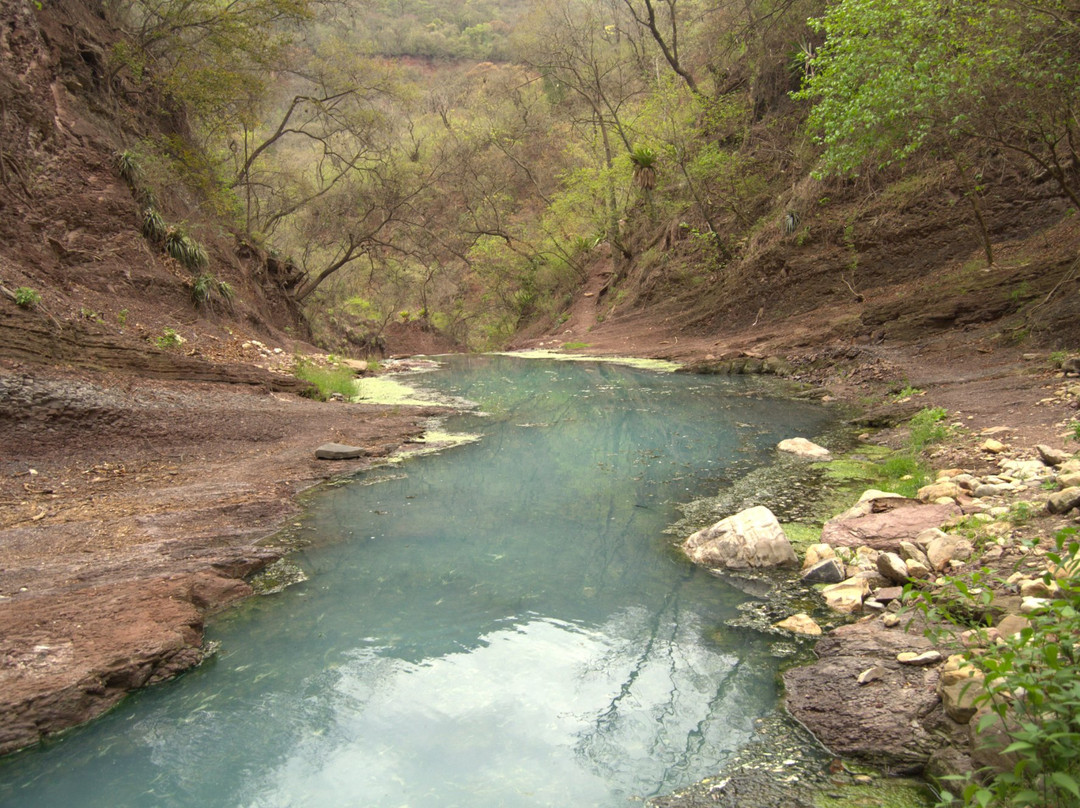 Valle Grande旅游攻略图片
