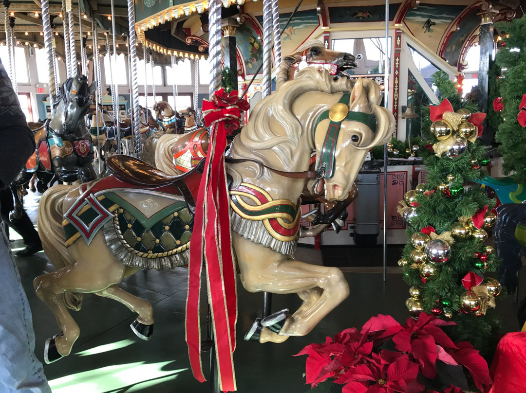 Paragon Carousel景点图片