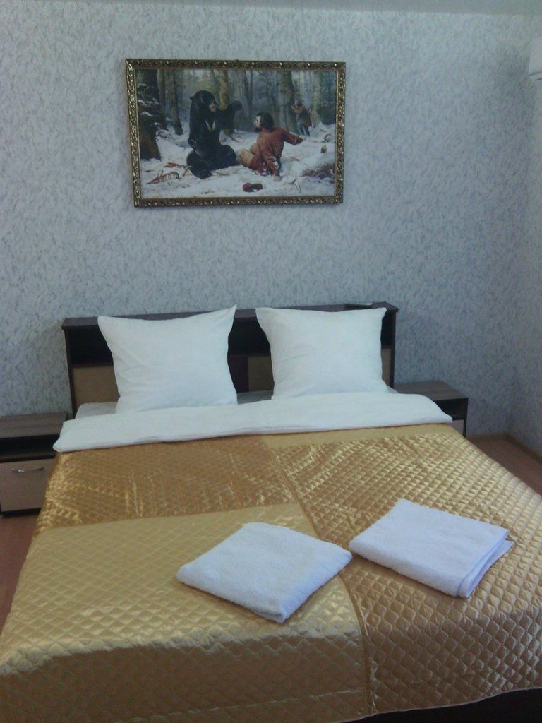 Mir Mini-Hotel-官方