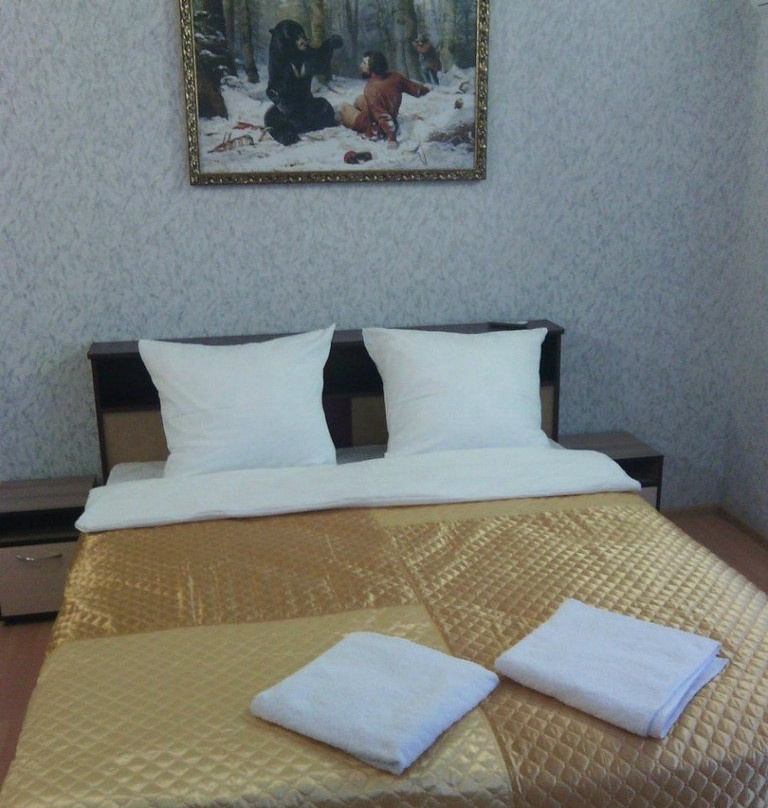 伊热夫斯克酒店住宿-Mir Mini-Hotel