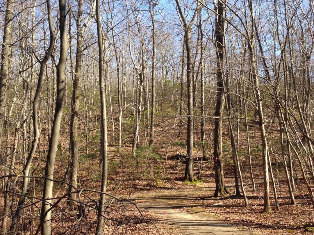 Ward Pound Ridge Reservation景点图片