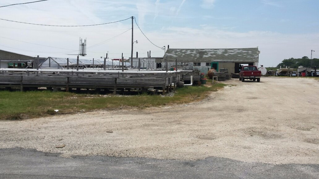 Saxis Island Museum-Saxis必去景点