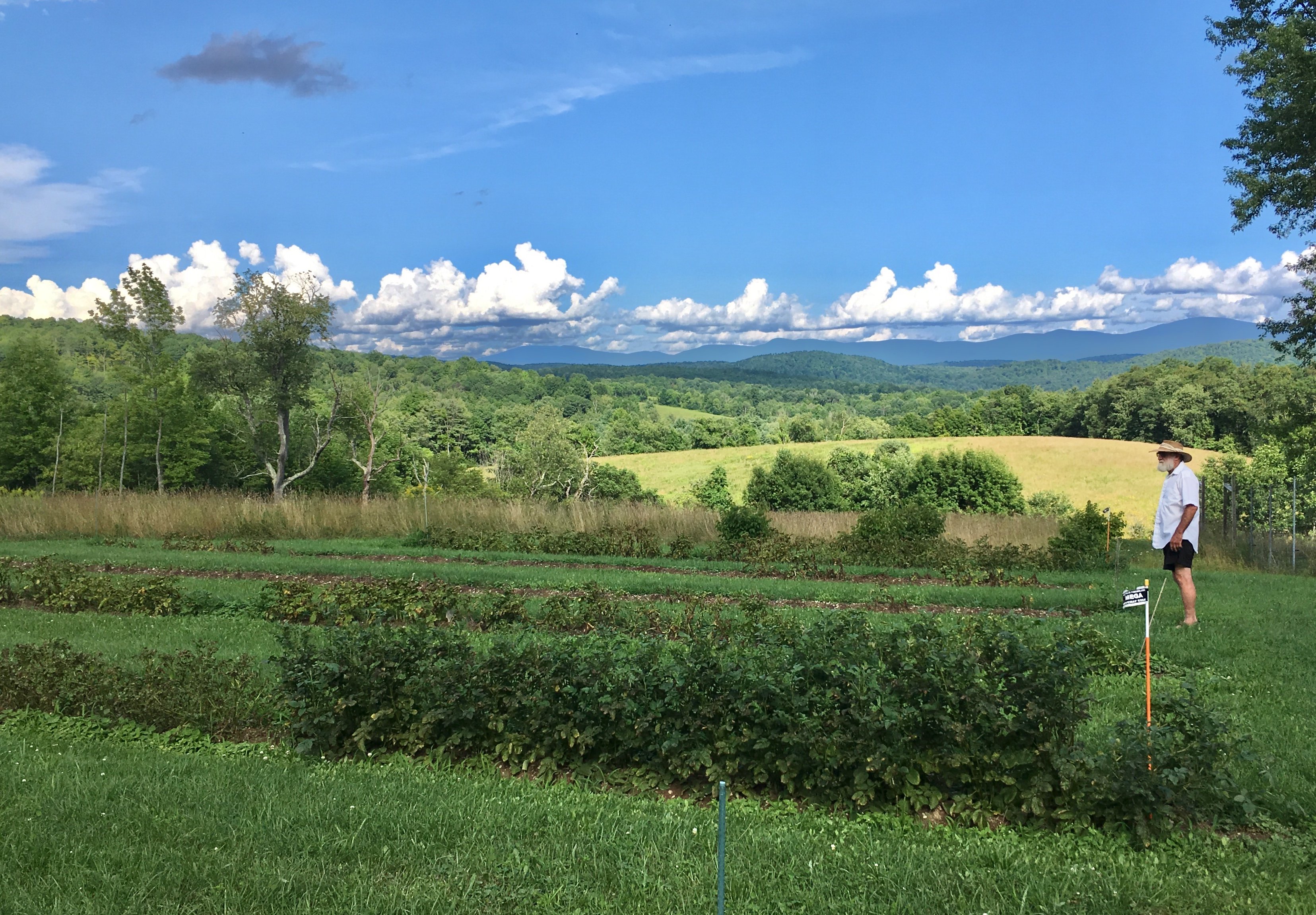Lant Hill Farm Bed & Breakfast-官方