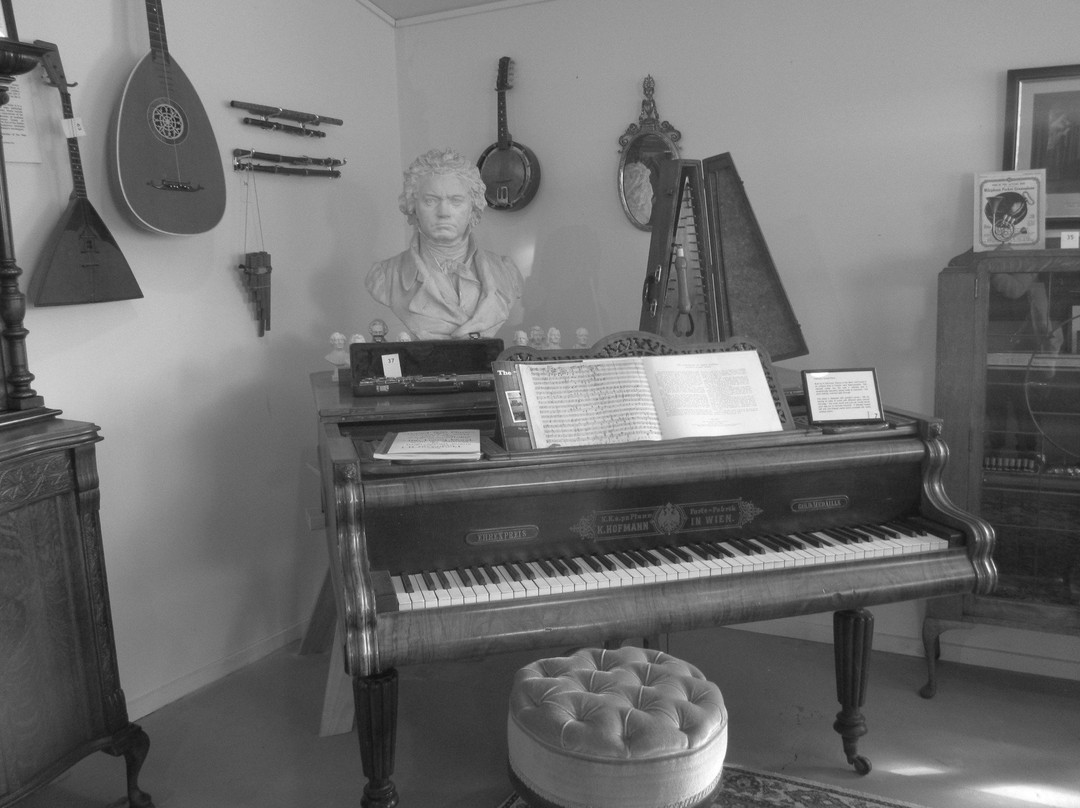 Waiheke Musical Museum景点图片