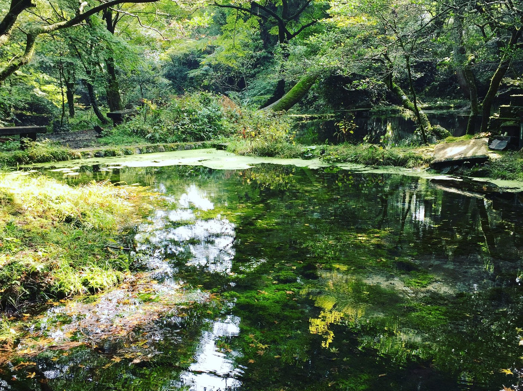 Yamabuki Spring景点图片