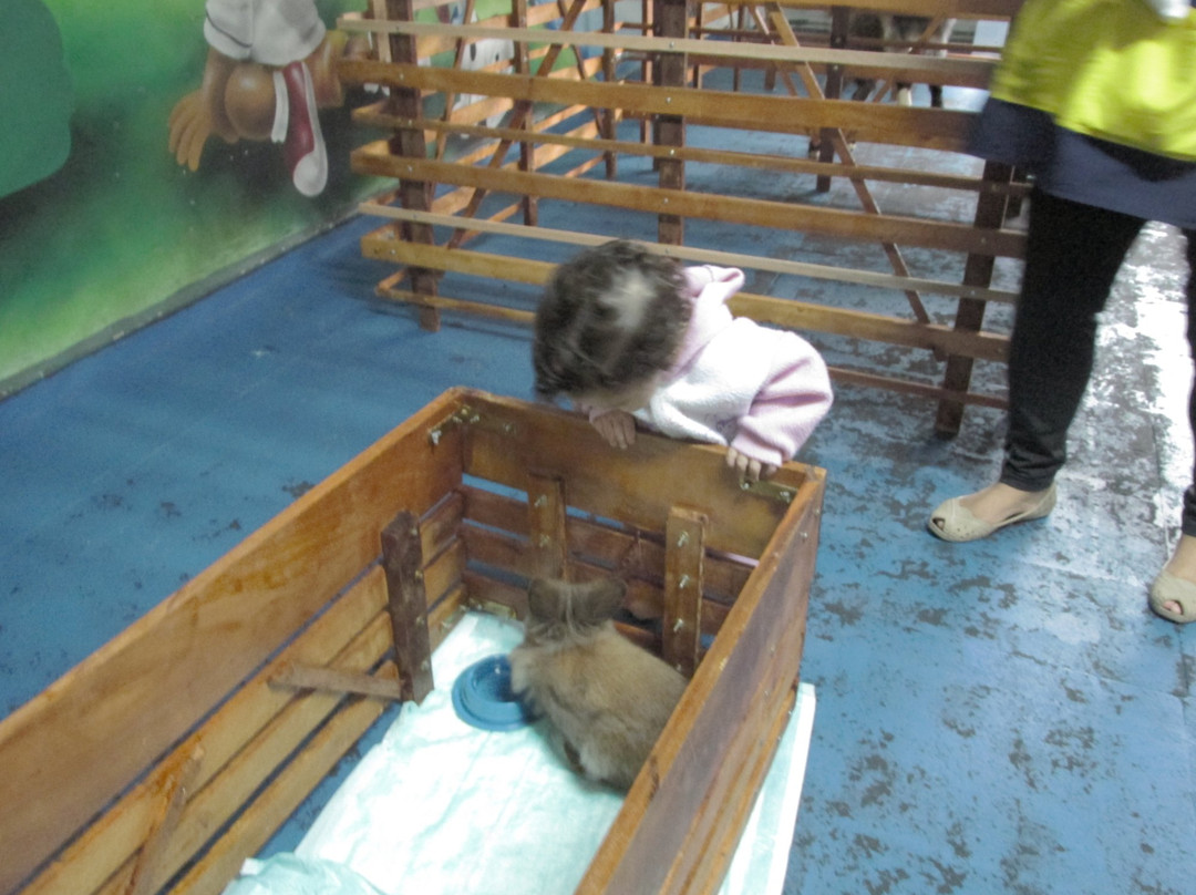 Mini Fazenda Nose-Cotia必去景点