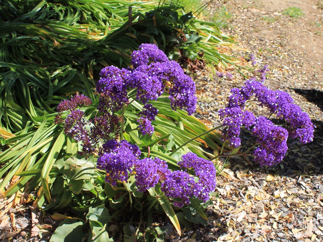 Museo Vicente Huidobro-Cartagena必去景点